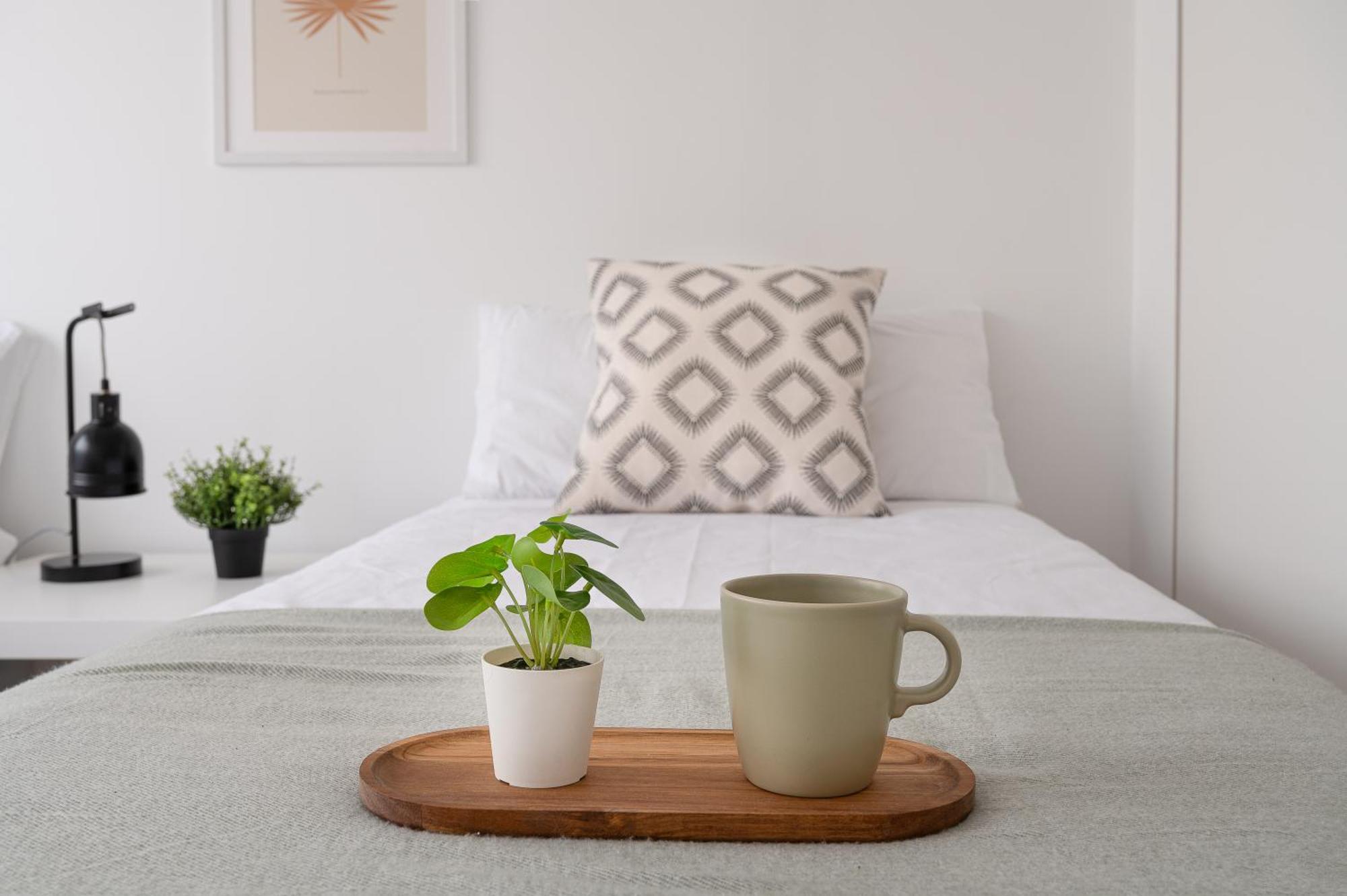 Tetuan Street Apartment 산탄데르 외부 사진